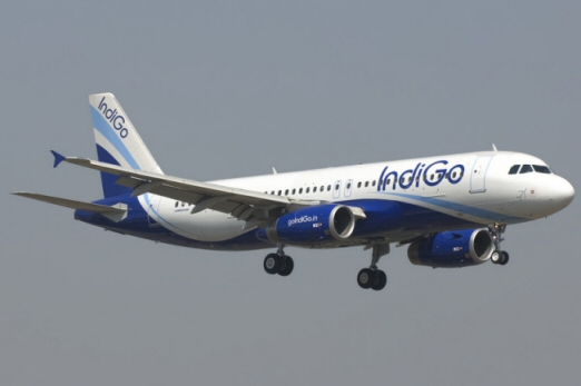 Retour cause absorption aviaire d'un avion de Indigo Airline