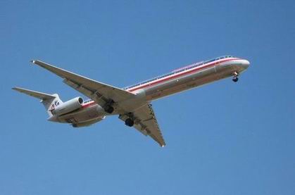 Retour cause choc aviaire d'un avion de American Airlines