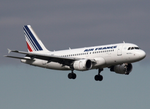Ingestion aviaire et retour d'un avion de Air France