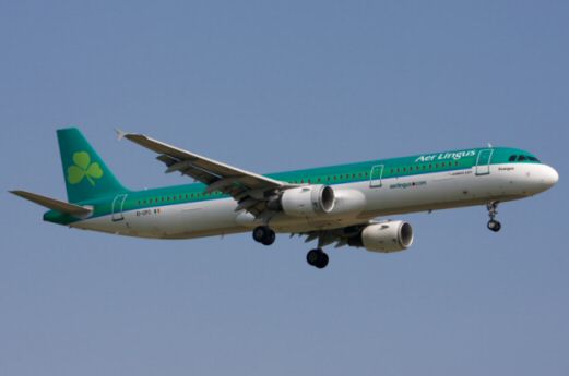 Retour cause ingestion aviaire d'un avion de Aer Lingus