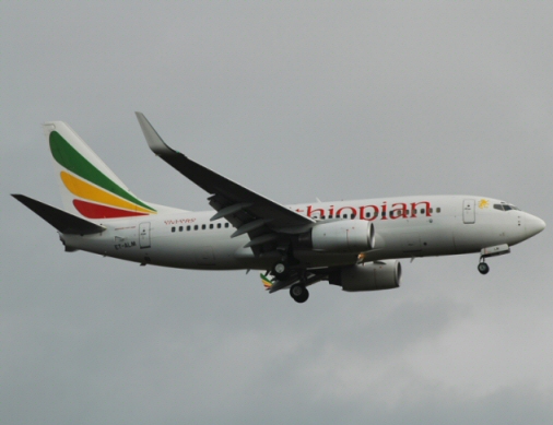 Un passager en attaque un autre dans un avion de Ethiopian