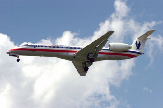 Retour cause ingestion aviaire d'un avion de American Airlines