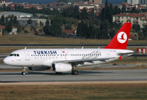 Retour cause choc aviaire d'un avion de Turkish Airlines