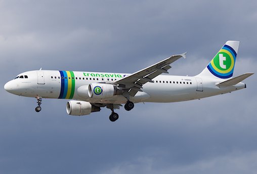 Retour cause ingestion aviaire d'un avion de Transavia