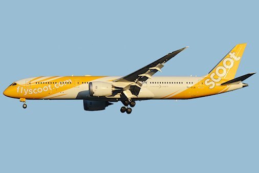 Problèmes techniques au sol pour un avion de Scoot Airlines
