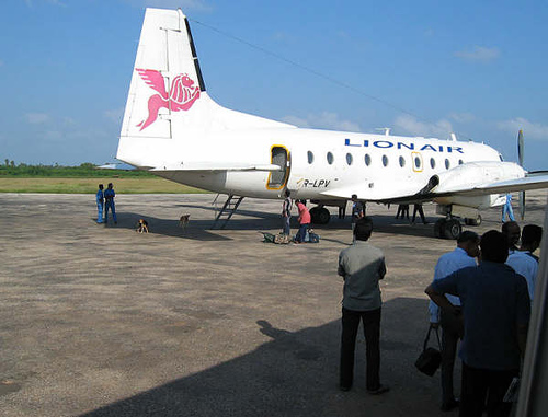 Un avion de Lionair abattu en vol retrouvé 15 ans après