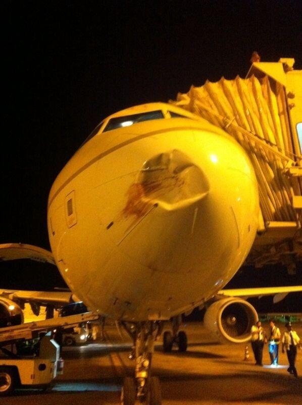 Choc aviaire au poser d'un avion de Saudi Arabian Airlines