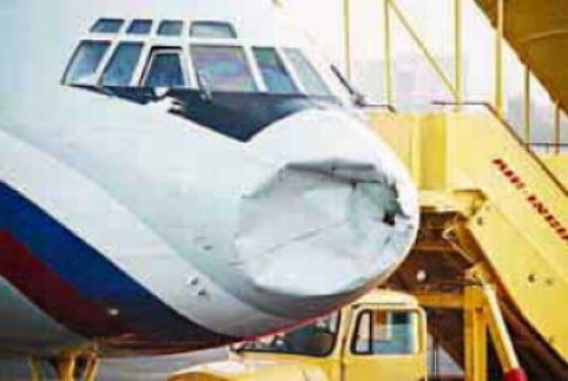 Déroutement cause aviaire d'un avion présidentiel russe