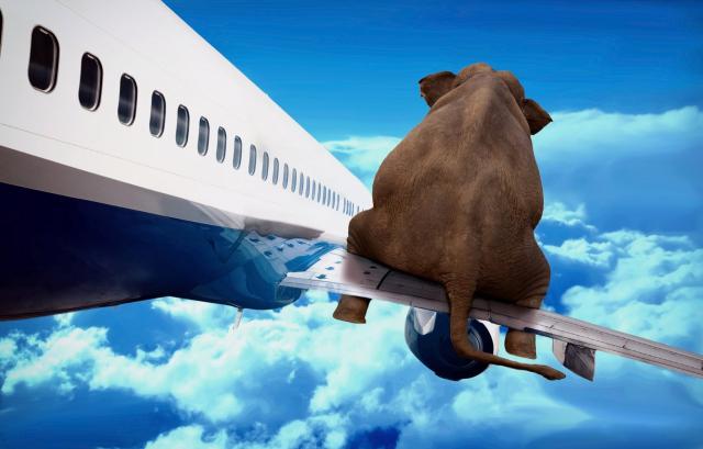 Pour ouvrir la porte d'un avion, soulevez deux éléphants !