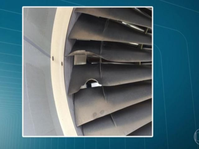 Retour cause ingestion aviaire d'un avion de TAM