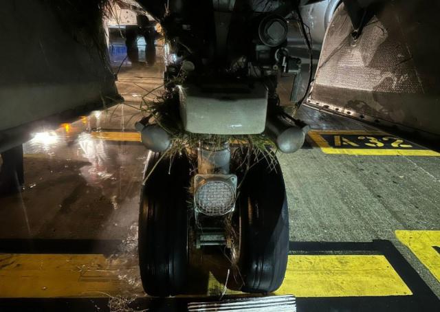 Brève sortie de piste à l'atterrissage d'un avion de American