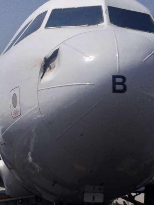 Retour cause choc aviaire d'un avion de ATA Airlines