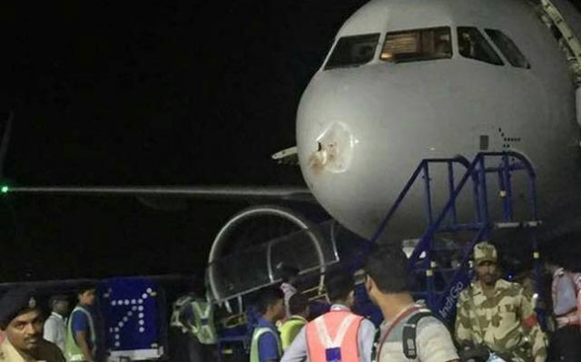 Retour cause choc aviaire d'un avion de IndiGo