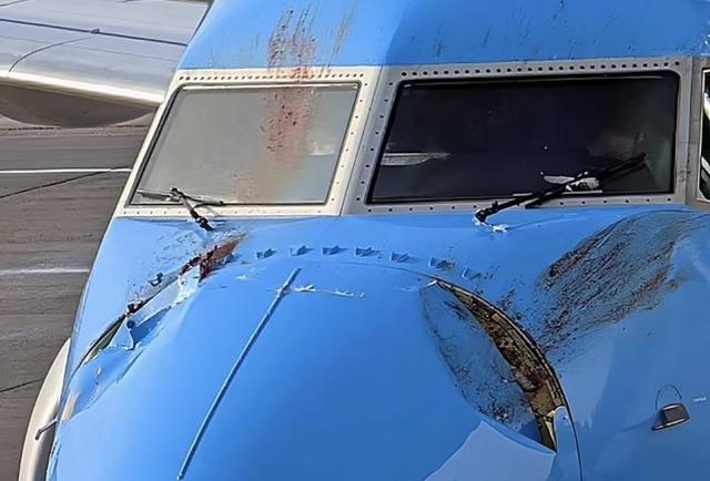 Retour cause choc aviaire d'un avion de TUI Airways