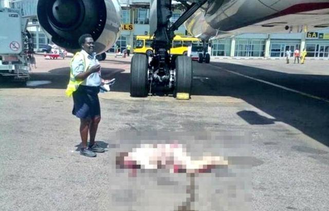 Une hôtesse a sauté d'un avion de Emirates pour se suicider