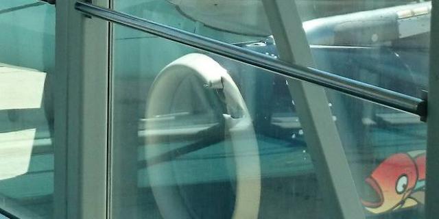 Un avion de Brussels Airlines heurte une passerelle
