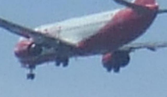 Retour cause ingestion aviaire d'un avion de Air Berlin