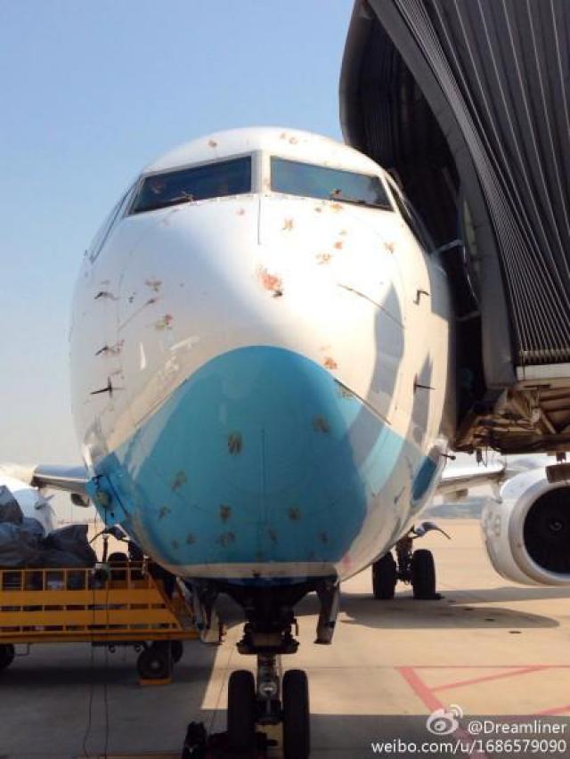 Multiples chocs aviaires pour un avion de Xiamen Airlines