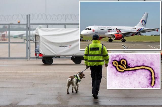 Un avion de Gambia Bird en quarantaine par crainte d'Ebola