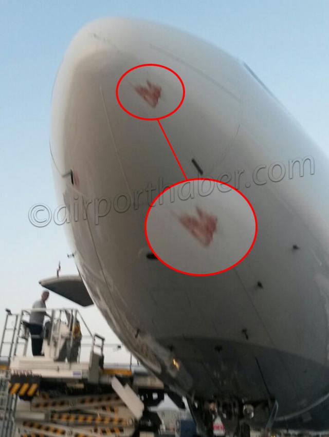Retour cause choc aviaire d'un avion de Turkish Airlines