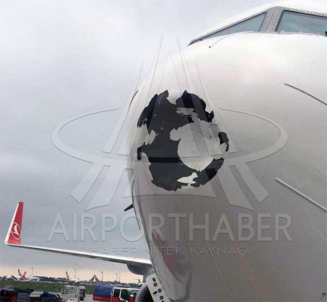 Choc aviaire à l'atterrissage d'un avion de Turkish Airlines