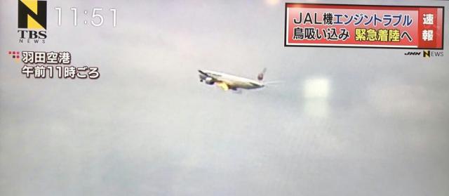 Retour cause ingestion aviaire d'un avion de Japan Airlines