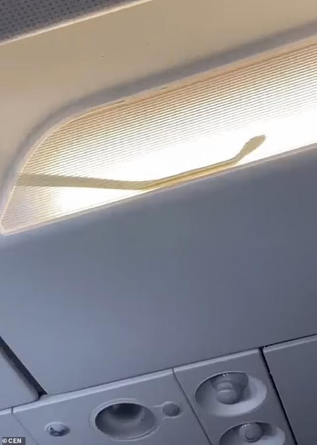 Déroutement cause serpent d'un avion de AirAsia