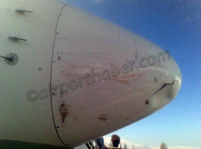 Choc aviaire à l'atterrissage d'un avion de Turkish Airlines