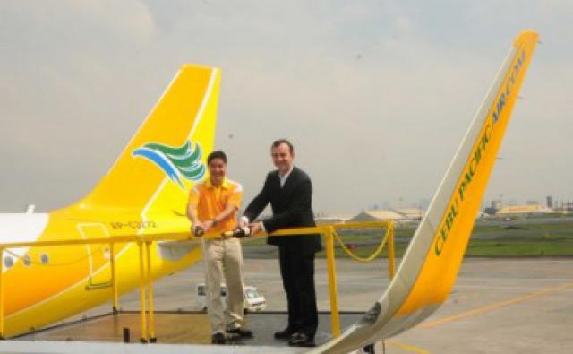 Cebu Pacific Air ne transportera plus d'ailerons de requins