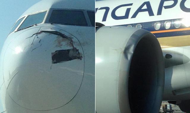 Choc aviaire et retour d'un avion de Singapore Airlines