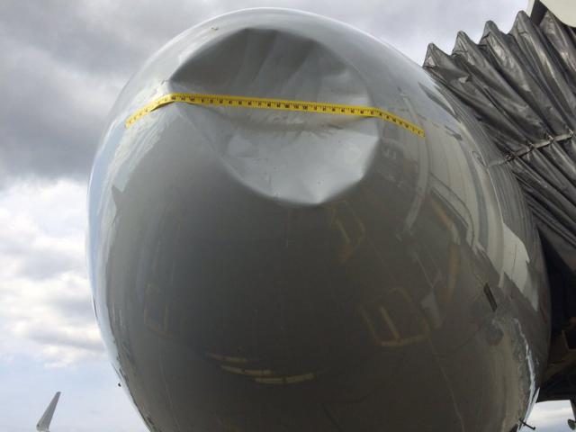 Retour cause choc aviaire d'un avion de American Airlines