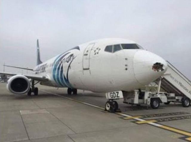 Choc aviaire à l'atterrissage d'un avion de EgyptAir