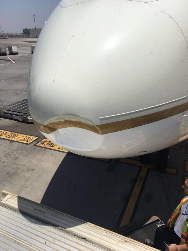 Choc aviaire à l'atterrissage d'un avion de Saudi Arabian