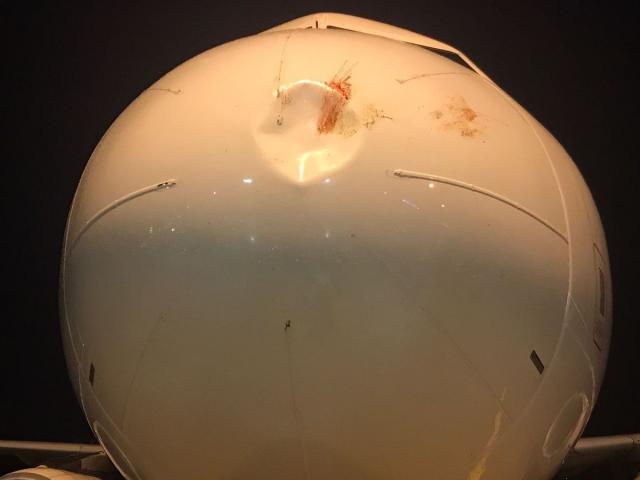 Urgence cause choc aviaire d'un avion de Pegasus Airlines