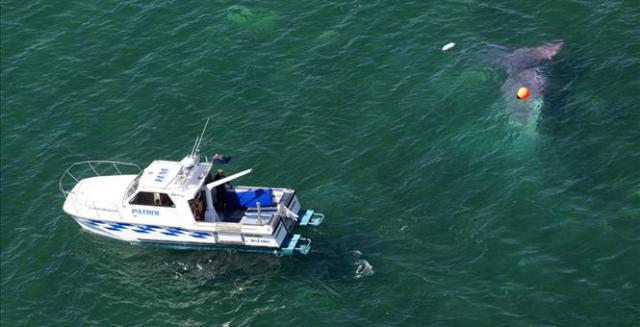 Un avion avec 13 paras tombe dans un lac en Nouvelle-Zélande