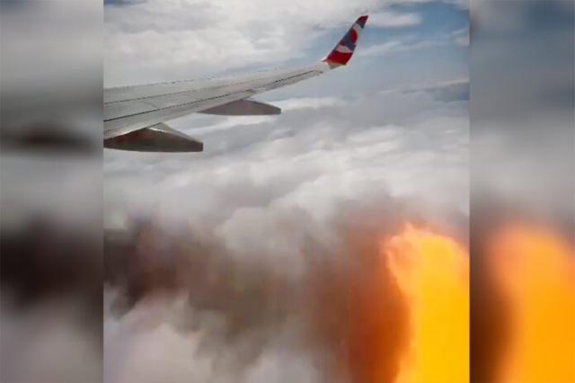 Déroutement cause ingestion aviaire d'un avion de GOL