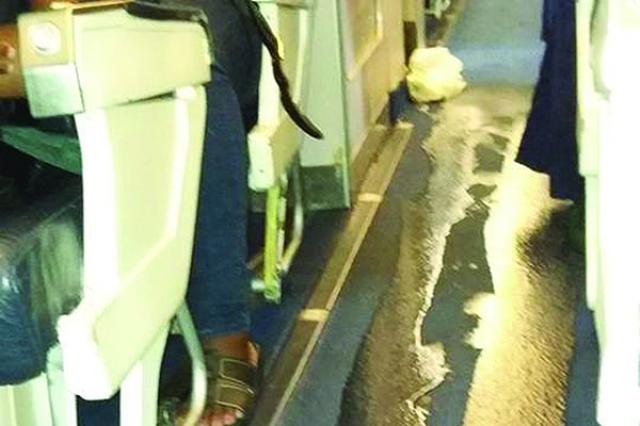 Fuite des toilettes dans un avion de Air Zimbabwe