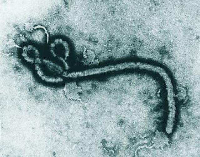 Quarantaine cause crainte Ebola d'un avion de Air France