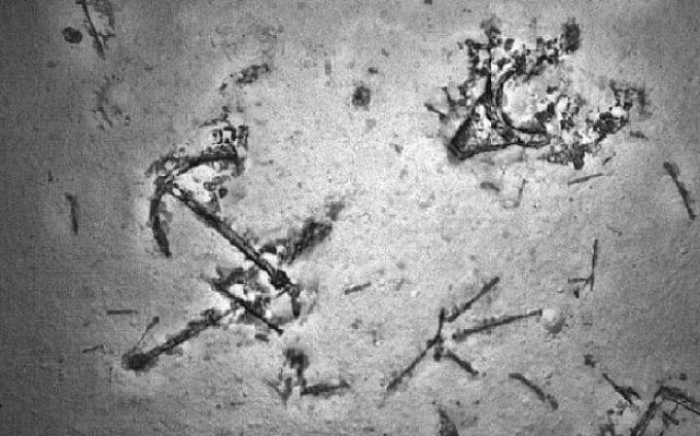 Malaysia MH370: Du bois, du métal mais pas d'avion