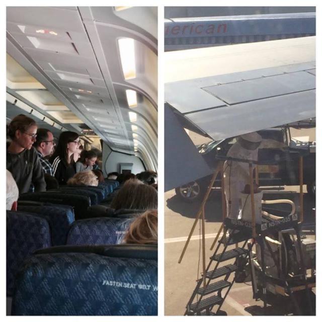 Des abeilles retardent le décollage d'un avion de American