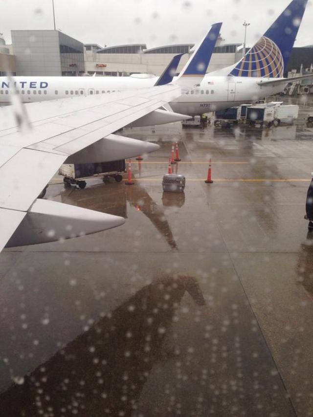 United Airlines laisse un chien sur le parking sous la pluie