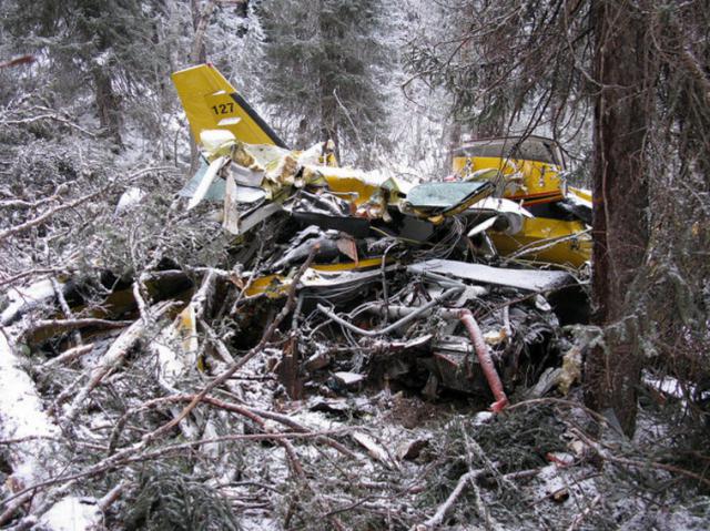 Retour cause choc aviaire d'un avion de Aeropostal