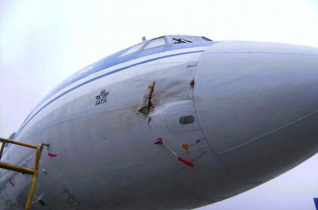 Choc aviaire et poursuite du vol d'un avion de Belavia
