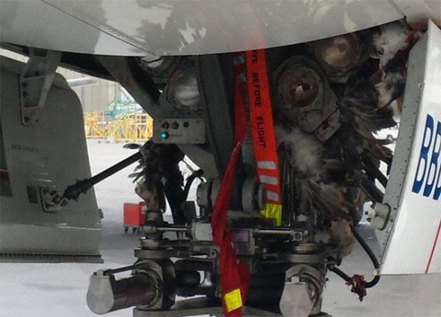 Choc aviaire à l'atterrissage d'un avion de LAN Airlines